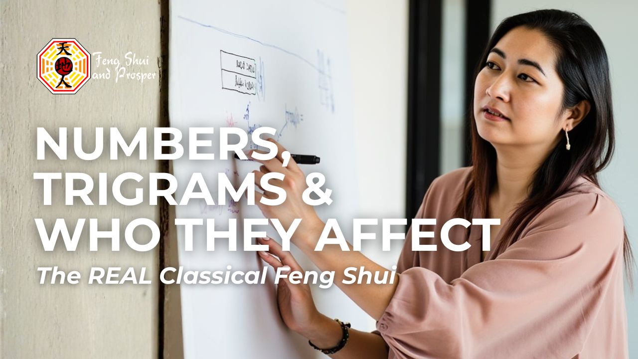 Decoding the Bagua: Family Demographics & Flying Star Energy Mapping